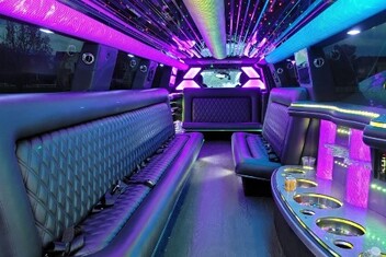 Fort Collins Limo Interior